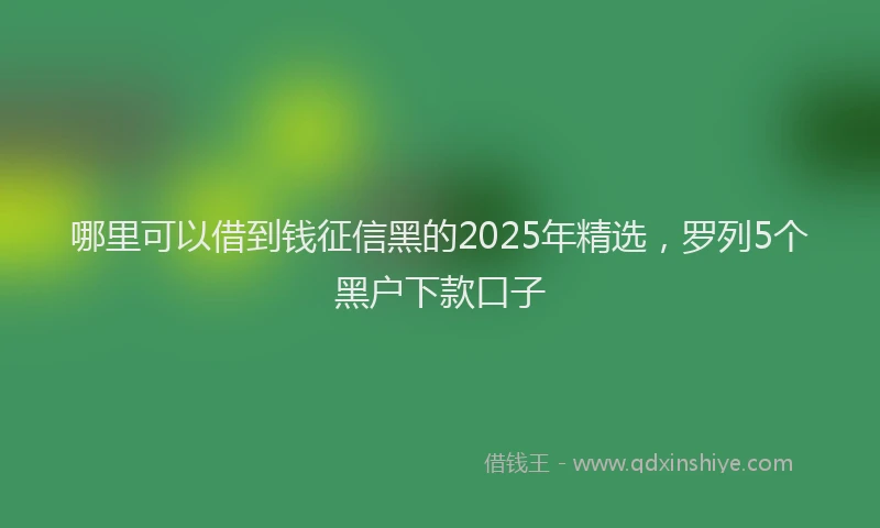 哪里可以借到钱征信黑的2025年精选，罗列5个黑户下款口子