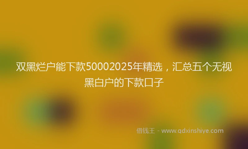双黑烂户能下款50002025年精选，汇总五个无视黑白户的下款口子