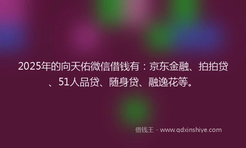 2025年的向天佑微信借钱有：京东金融、拍拍贷、51人品贷、随身贷、融逸花等。