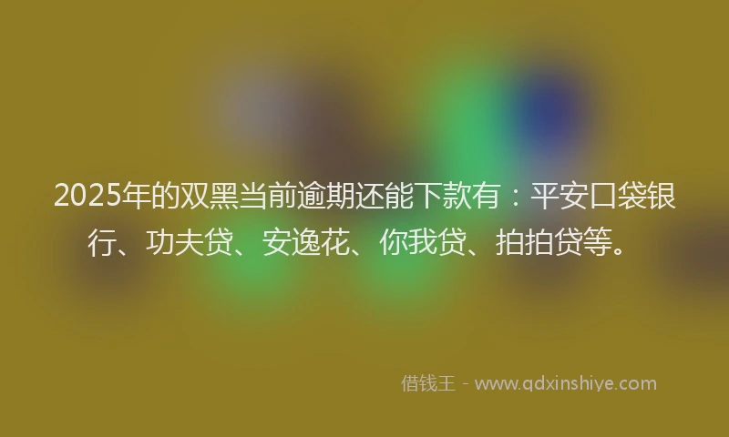 2025年的双黑当前逾期还能下款有：平安口袋银行、功夫贷、安逸花、你我贷、拍拍贷等。