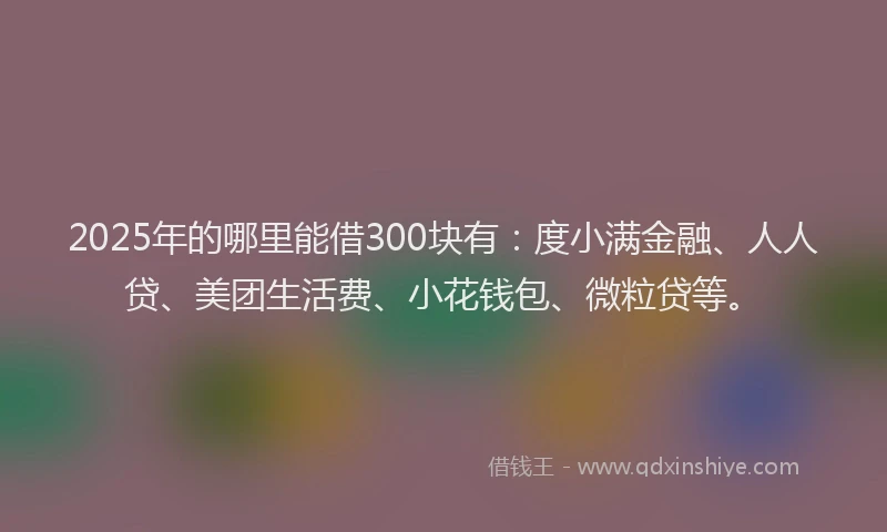 2025年的哪里能借300块有：度小满金融、人人贷、美团生活费、小花钱包、微粒贷等。