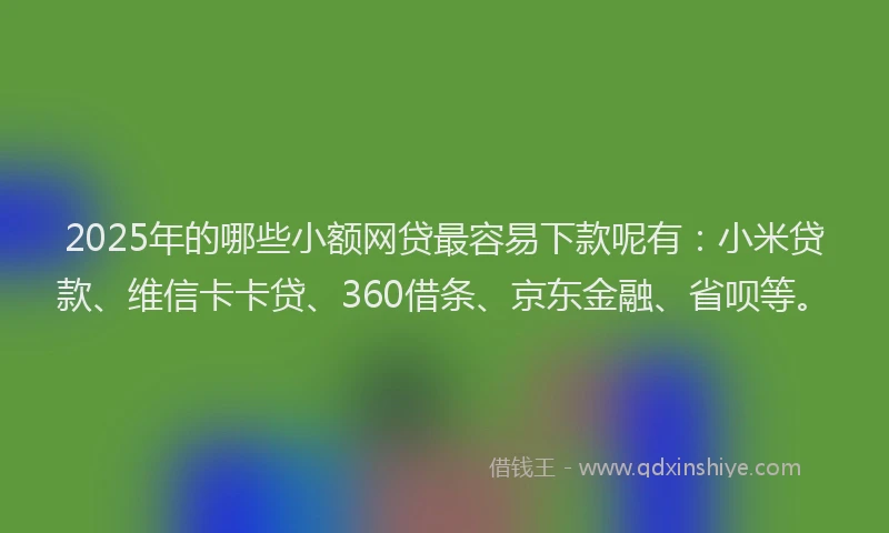 2025年的哪些小额网贷最容易下款呢有：小米贷款、维信卡卡贷、360借条、京东金融、省呗等。