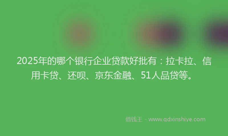 2025年的哪个银行企业贷款好批有：拉卡拉、信用卡贷、还呗、京东金融、51人品贷等。