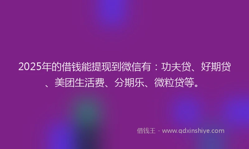 2025年的借钱能提现到微信有：功夫贷、好期贷、美团生活费、分期乐、微粒贷等。