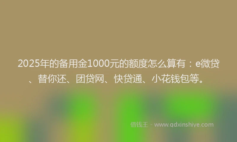 2025年的备用金1000元的额度怎么算有：e微贷、替你还、团贷网、快贷通、小花钱包等。