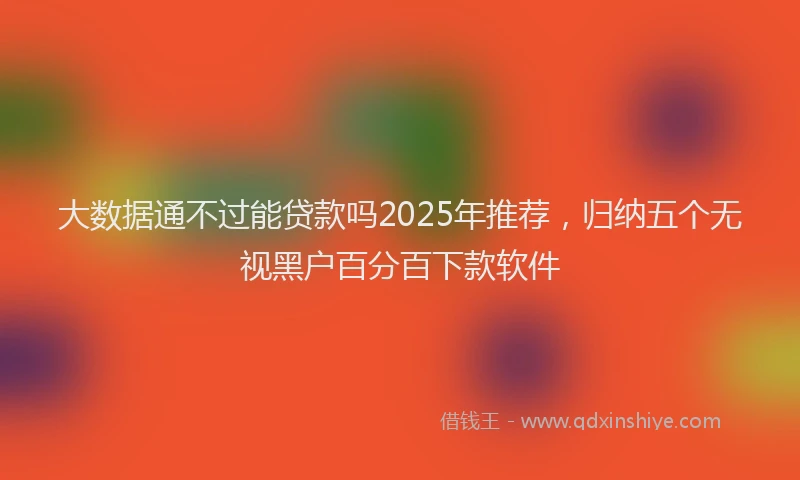 大数据通不过能贷款吗2025年推荐，归纳五个无视黑户百分百下款软件