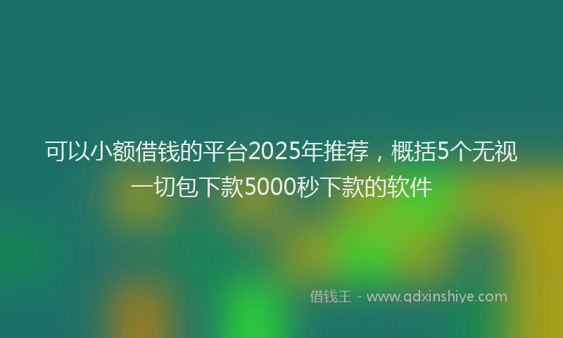 可以小额借钱的平台2025年推荐，概括5个无视一切包下款5000秒下款的软件