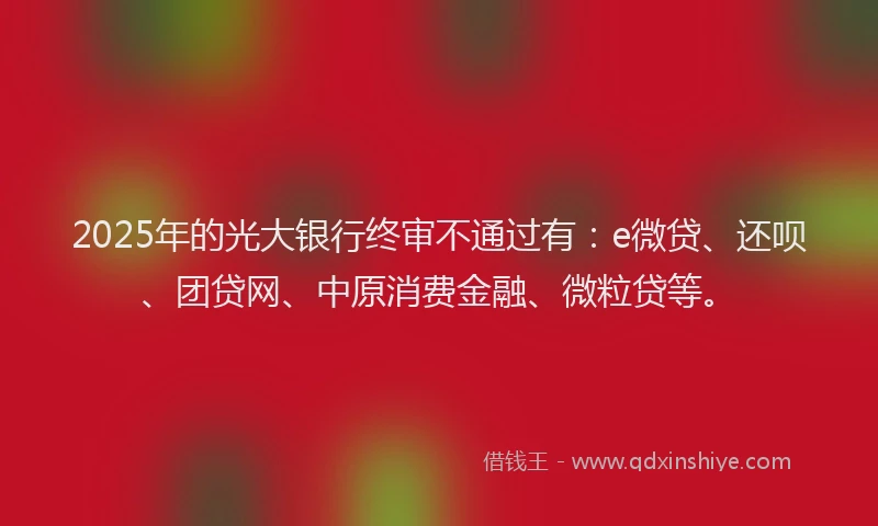 2025年的光大银行终审不通过有：e微贷、还呗、团贷网、中原消费金融、微粒贷等。