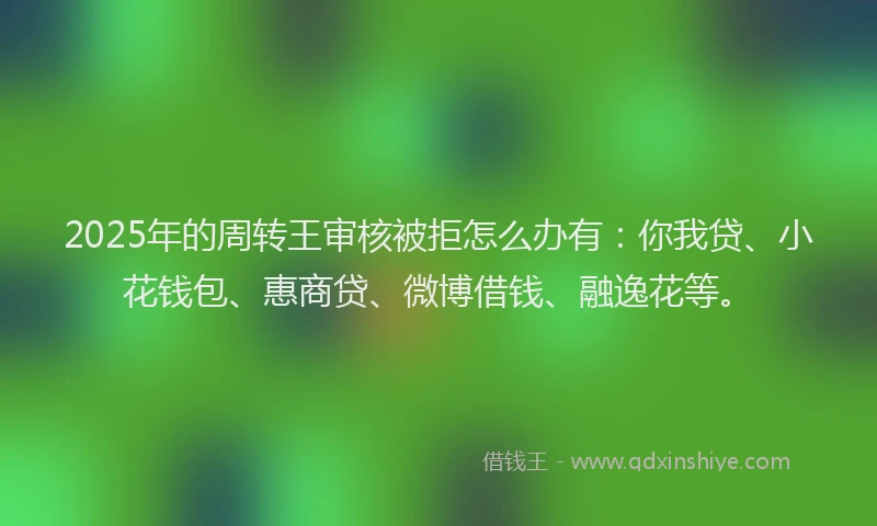 2025年的周转王审核被拒怎么办有：你我贷、小花钱包、惠商贷、微博借钱、融逸花等。