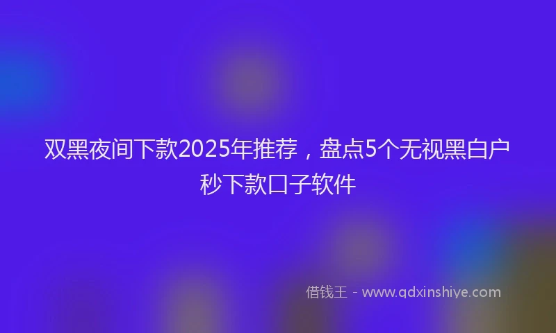 双黑夜间下款2025年推荐，盘点5个无视黑白户秒下款口子软件