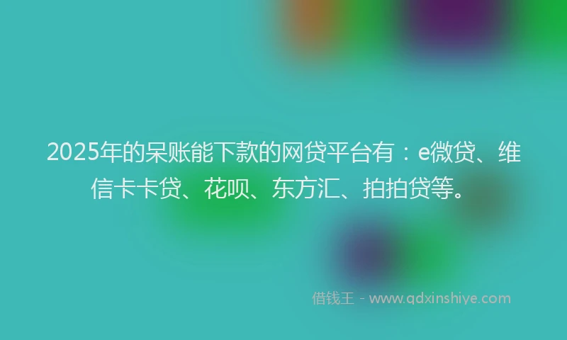 2025年的呆账能下款的网贷平台有：e微贷、维信卡卡贷、花呗、东方汇、拍拍贷等。