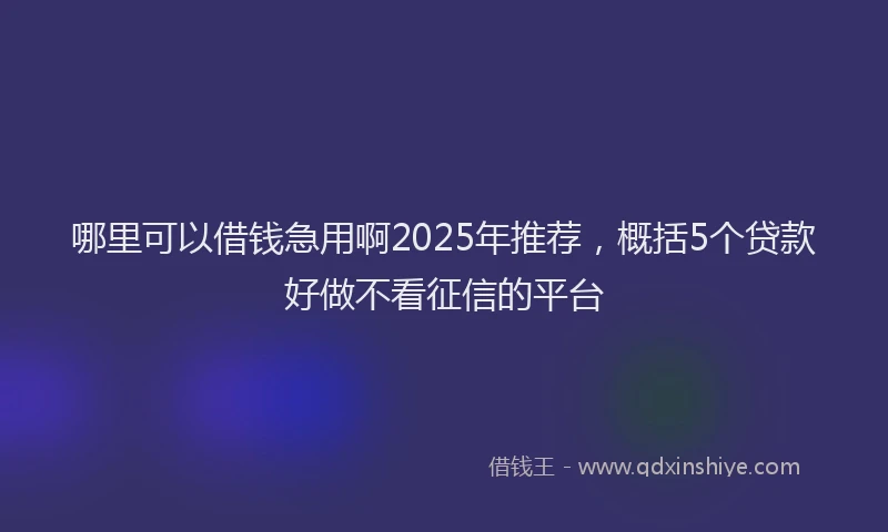 哪里可以借钱急用啊2025年推荐，概括5个贷款好做不看征信的平台