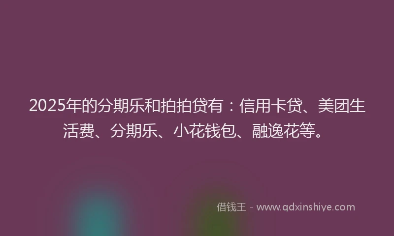 2025年的分期乐和拍拍贷有：信用卡贷、美团生活费、分期乐、小花钱包、融逸花等。