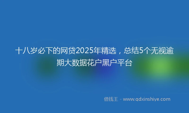 十八岁必下的网贷2025年精选，总结5个无视逾期大数据花户黑户平台
