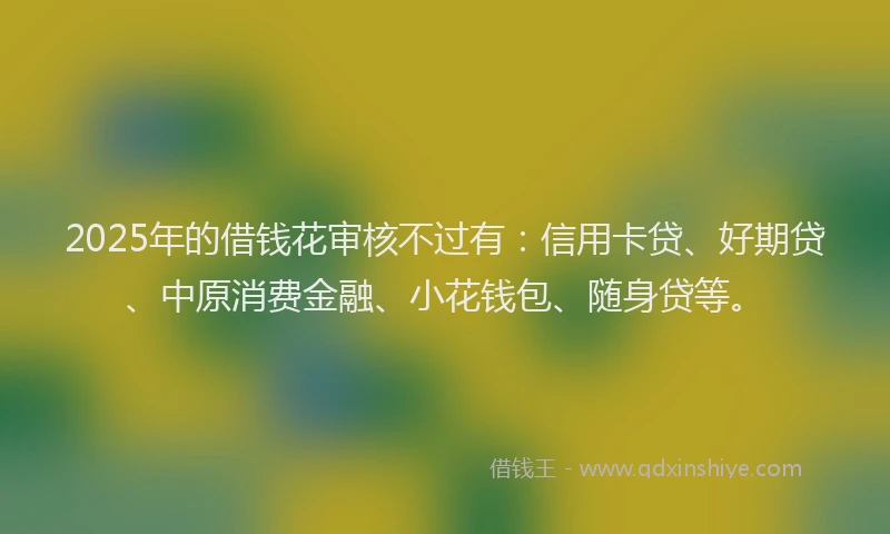 2025年的借钱花审核不过有：信用卡贷、好期贷、中原消费金融、小花钱包、随身贷等。