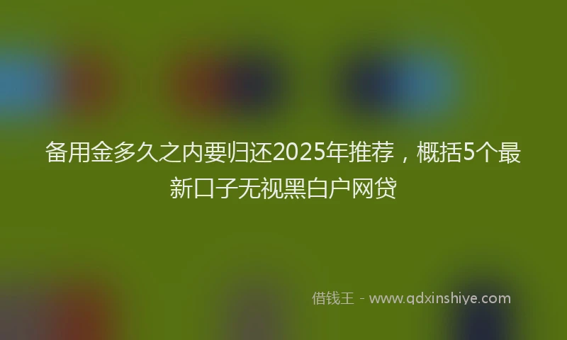 备用金多久之内要归还2025年推荐，概括5个最新口子无视黑白户网贷