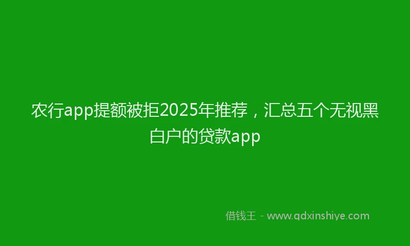 农行app提额被拒2025年推荐，汇总五个无视黑白户的贷款app