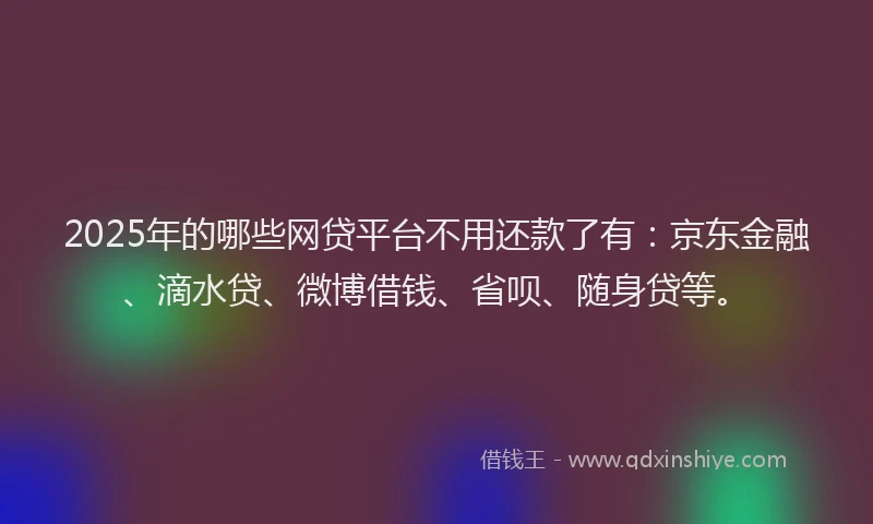 2025年的哪些网贷平台不用还款了有：京东金融、滴水贷、微博借钱、省呗、随身贷等。