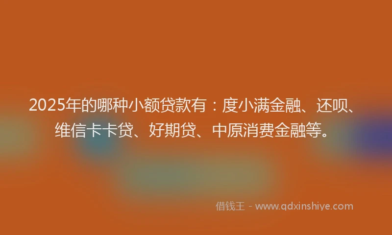 2025年的哪种小额贷款有：度小满金融、还呗、维信卡卡贷、好期贷、中原消费金融等。