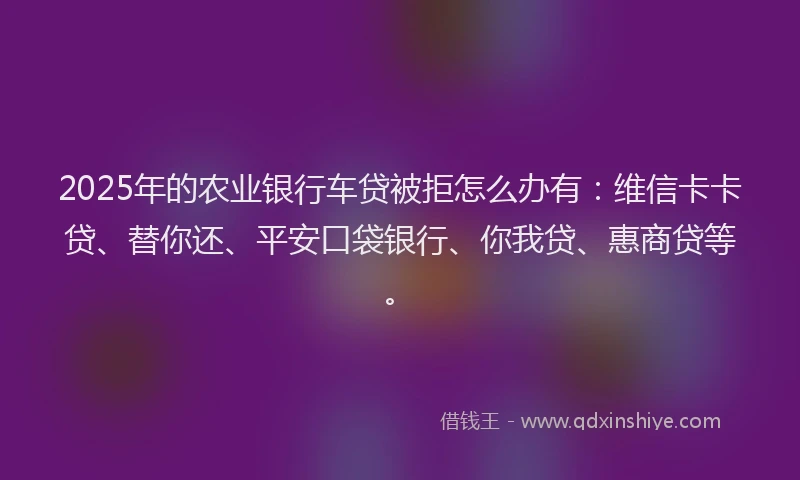 2025年的农业银行车贷被拒怎么办有：维信卡卡贷、替你还、平安口袋银行、你我贷、惠商贷等。