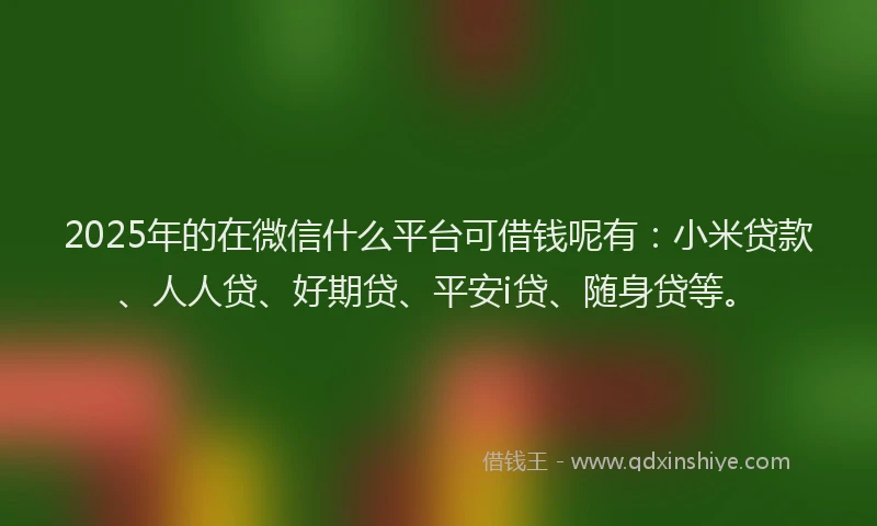 2025年的在微信什么平台可借钱呢有：小米贷款、人人贷、好期贷、平安i贷、随身贷等。