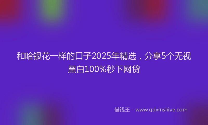 和哈银花一样的口子2025年精选，分享5个无视黑白100%秒下网贷