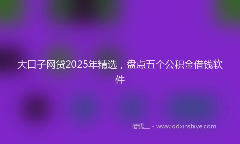 大口子网贷2025年精选，盘点五个公积金借钱软件