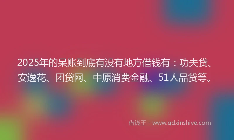 2025年的呆账到底有没有地方借钱有：功夫贷、安逸花、团贷网、中原消费金融、51人品贷等。