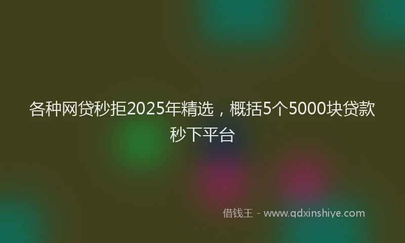 各种网贷秒拒2025年精选，概括5个5000块贷款秒下平台