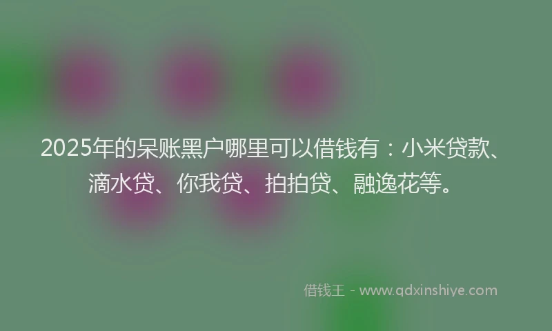 2025年的呆账黑户哪里可以借钱有：小米贷款、滴水贷、你我贷、拍拍贷、融逸花等。