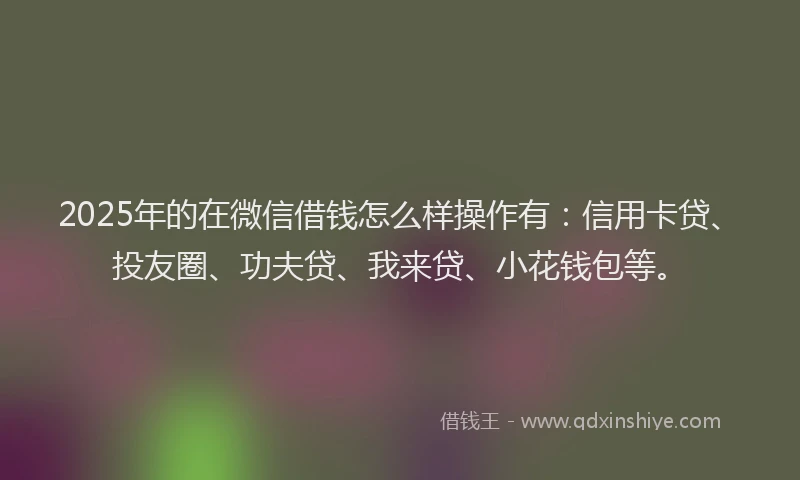 2025年的在微信借钱怎么样操作有：信用卡贷、投友圈、功夫贷、我来贷、小花钱包等。
