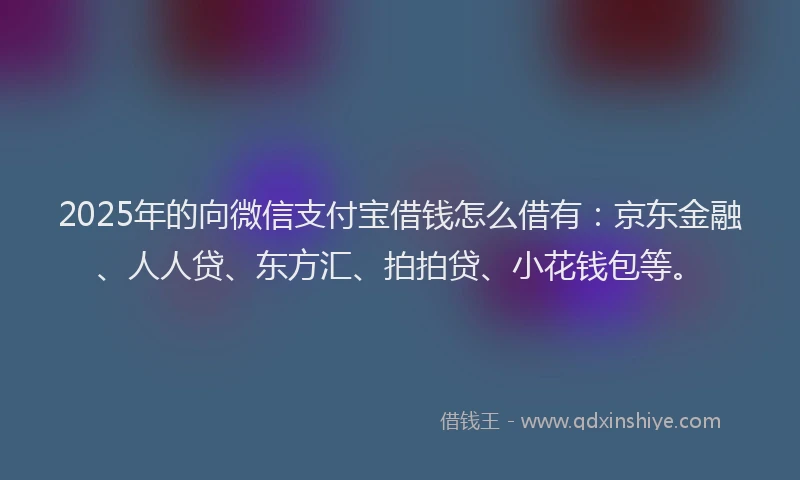 2025年的向微信支付宝借钱怎么借有：京东金融、人人贷、东方汇、拍拍贷、小花钱包等。