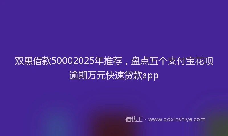 双黑借款50002025年推荐，盘点五个支付宝花呗逾期万元快速贷款app