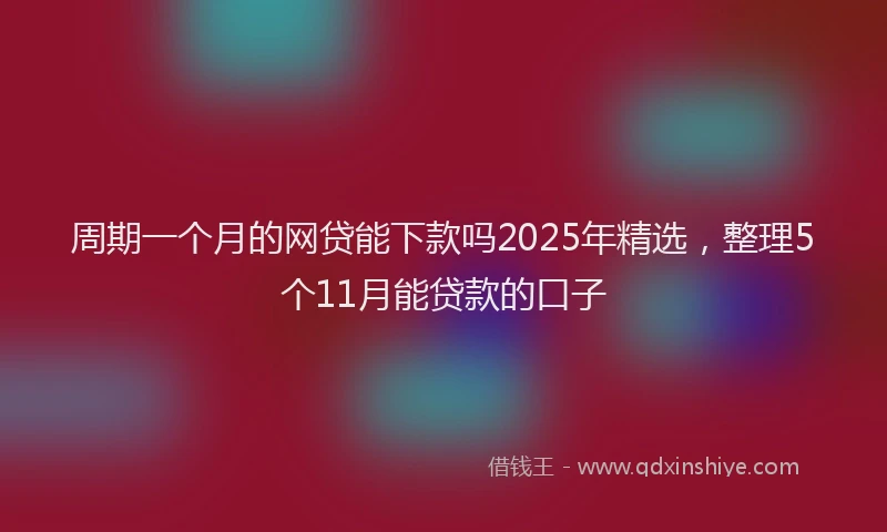 周期一个月的网贷能下款吗2025年精选，整理5个11月能贷款的口子