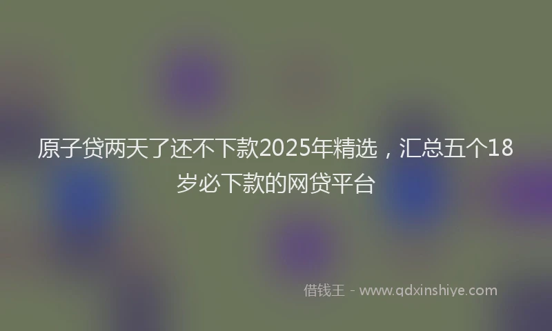 原子贷两天了还不下款2025年精选，汇总五个18岁必下款的网贷平台