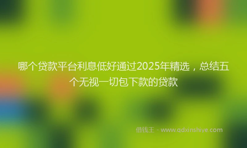哪个贷款平台利息低好通过2025年精选，总结五个无视一切包下款的贷款