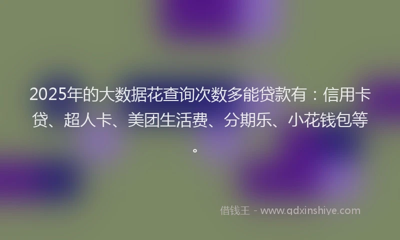 2025年的大数据花查询次数多能贷款有：信用卡贷、超人卡、美团生活费、分期乐、小花钱包等。