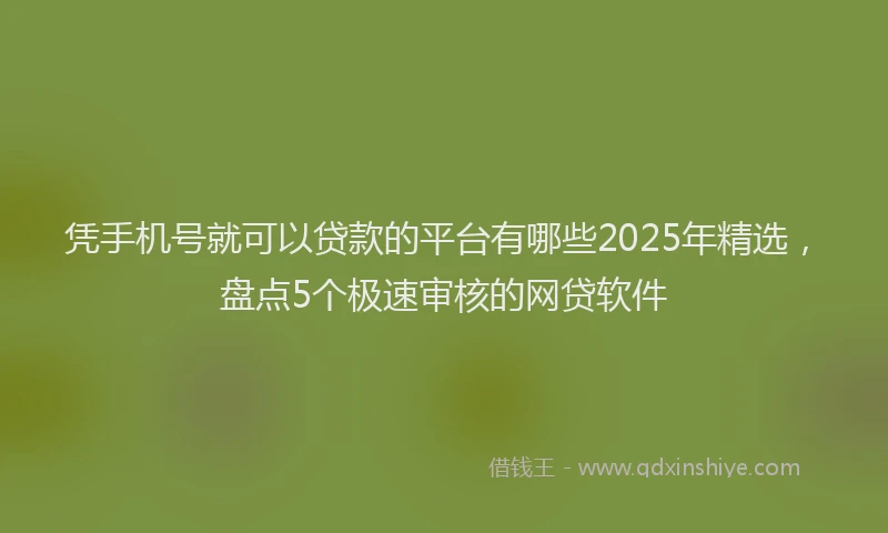 凭手机号就可以贷款的平台有哪些2025年精选，盘点5个极速审核的网贷软件