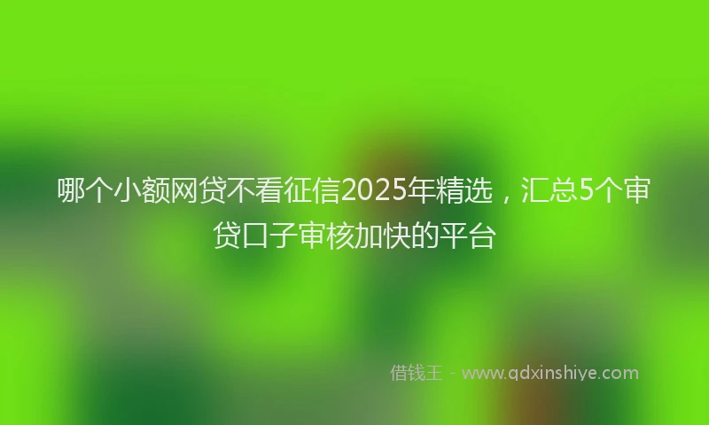 哪个小额网贷不看征信2025年精选，汇总5个审贷口子审核加快的平台