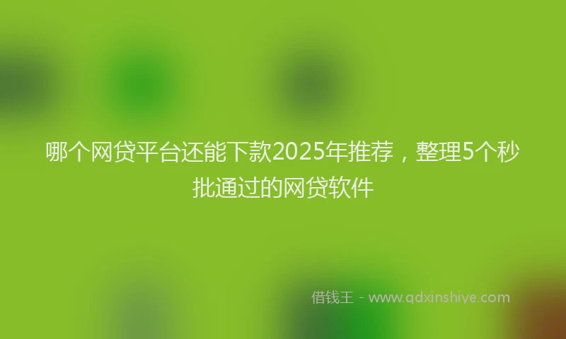 哪个网贷平台还能下款2025年推荐，整理5个秒批通过的网贷软件