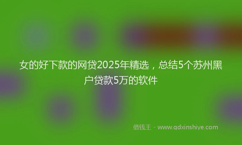 女的好下款的网贷2025年精选，总结5个苏州黑户贷款5万的软件