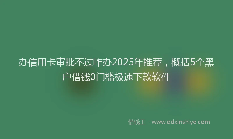 办信用卡审批不过咋办2025年推荐，概括5个黑户借钱0门槛极速下款软件