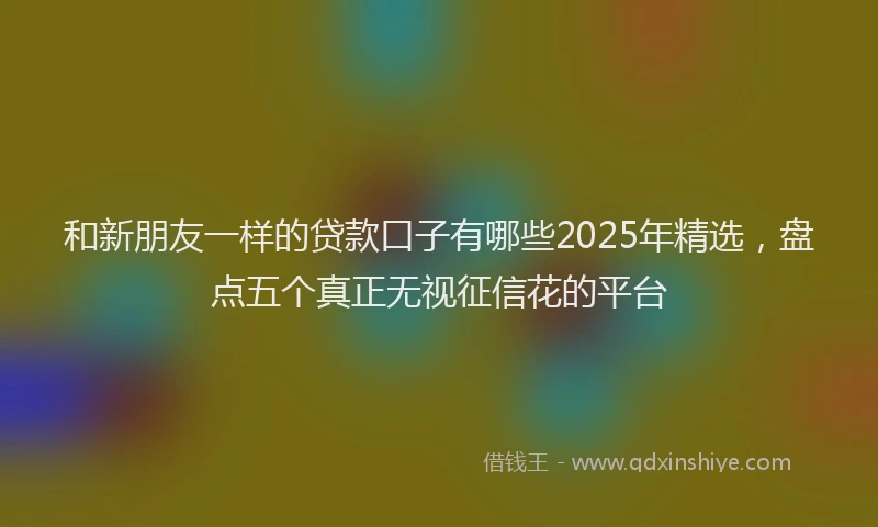 和新朋友一样的贷款口子有哪些2025年精选，盘点五个真正无视征信花的平台