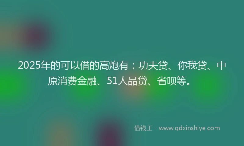 2025年的可以借的高炮有：功夫贷、你我贷、中原消费金融、51人品贷、省呗等。