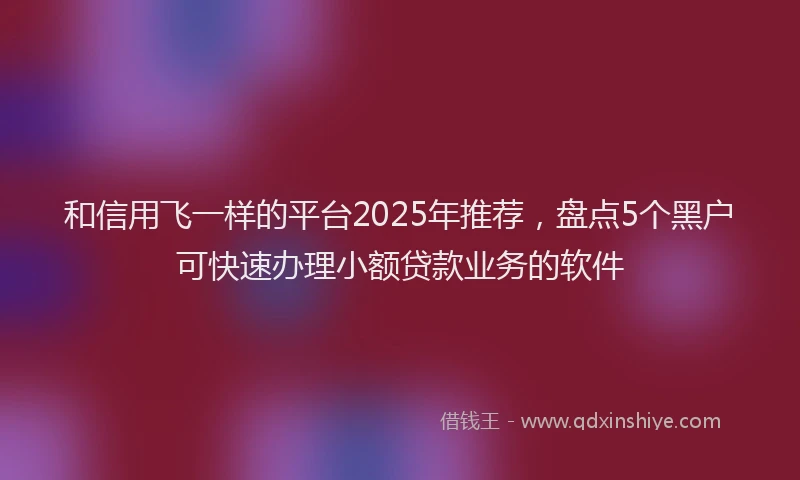 和信用飞一样的平台2025年推荐，盘点5个黑户可快速办理小额贷款业务的软件