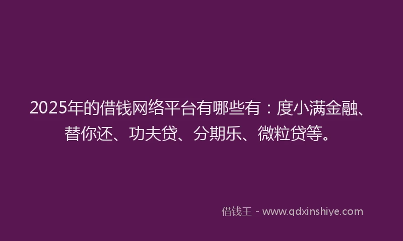 2025年的借钱网络平台有哪些有：度小满金融、替你还、功夫贷、分期乐、微粒贷等。