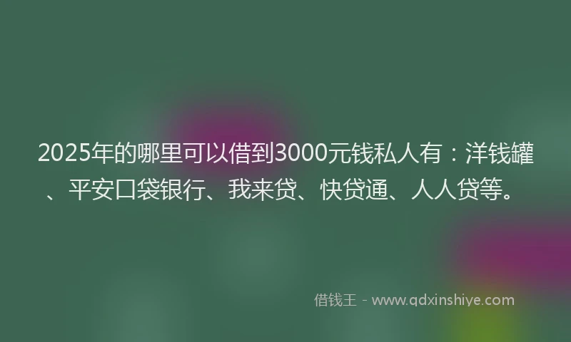 2025年的哪里可以借到3000元钱私人有：洋钱罐、平安口袋银行、我来贷、快贷通、人人贷等。
