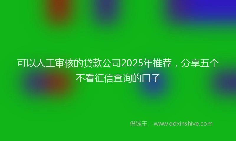 可以人工审核的贷款公司2025年推荐，分享五个不看征信查询的口子