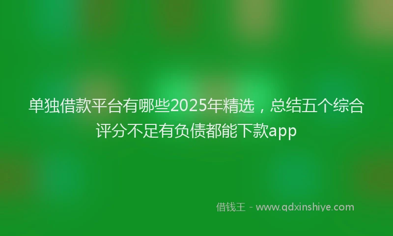 单独借款平台有哪些2025年精选，总结五个综合评分不足有负债都能下款app