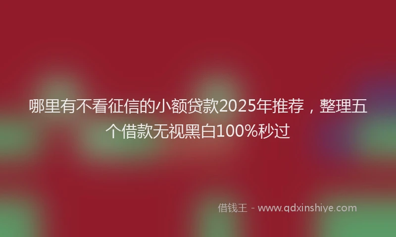 哪里有不看征信的小额贷款2025年推荐，整理五个借款无视黑白100%秒过